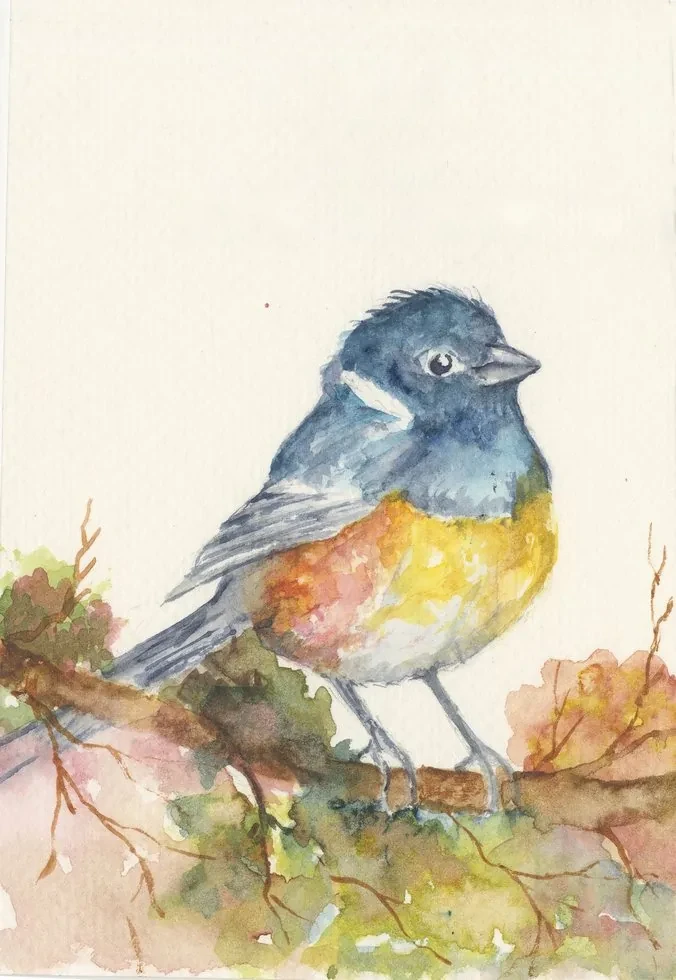 Watercolour of a small bird